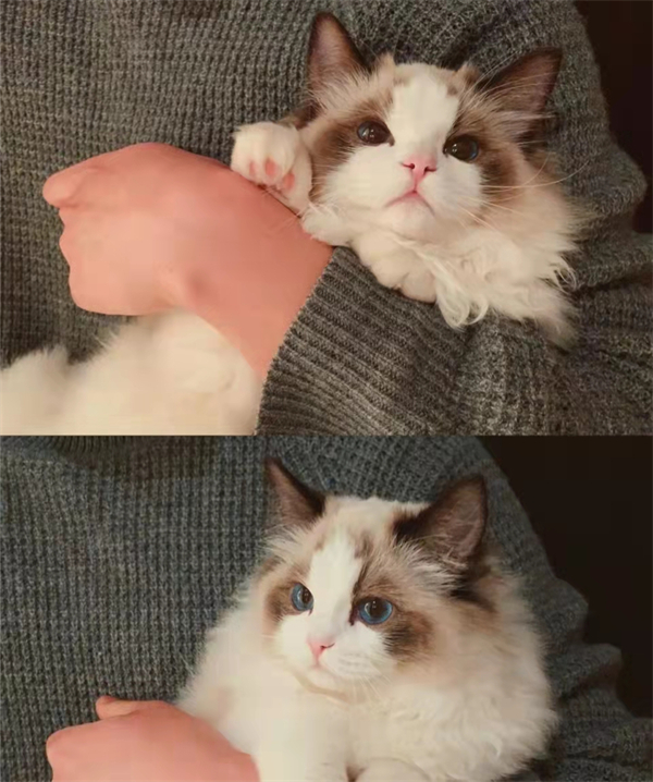 ballbet(й)ɭ